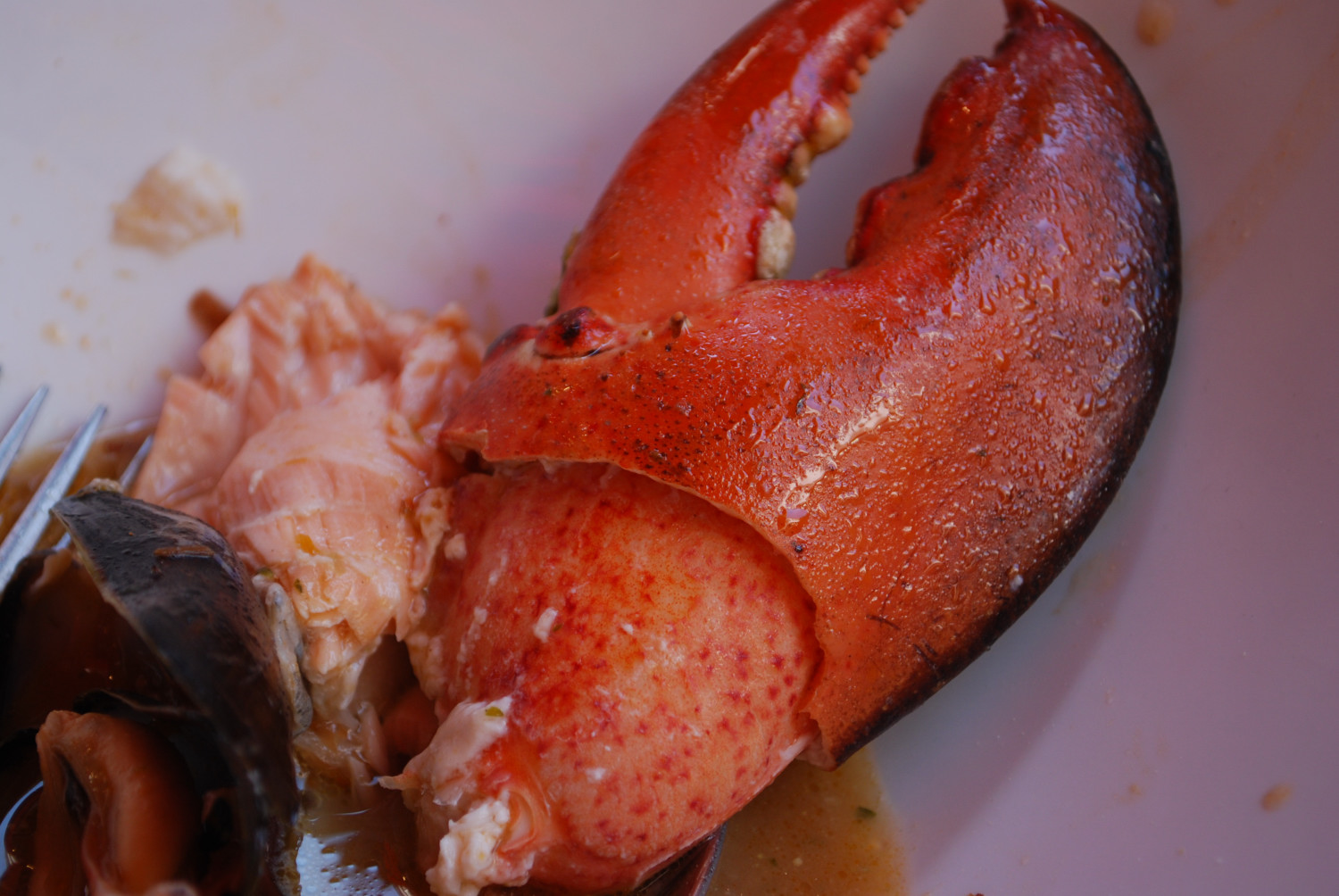 140903-1240-Brussels-Chez Leon (シェ・レオン)-ブイヤベース