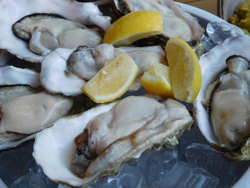 160605-1835-KL-山口水産