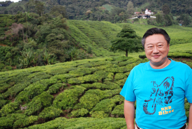 160614-0854-Cameron Highland-BOH紅茶農園