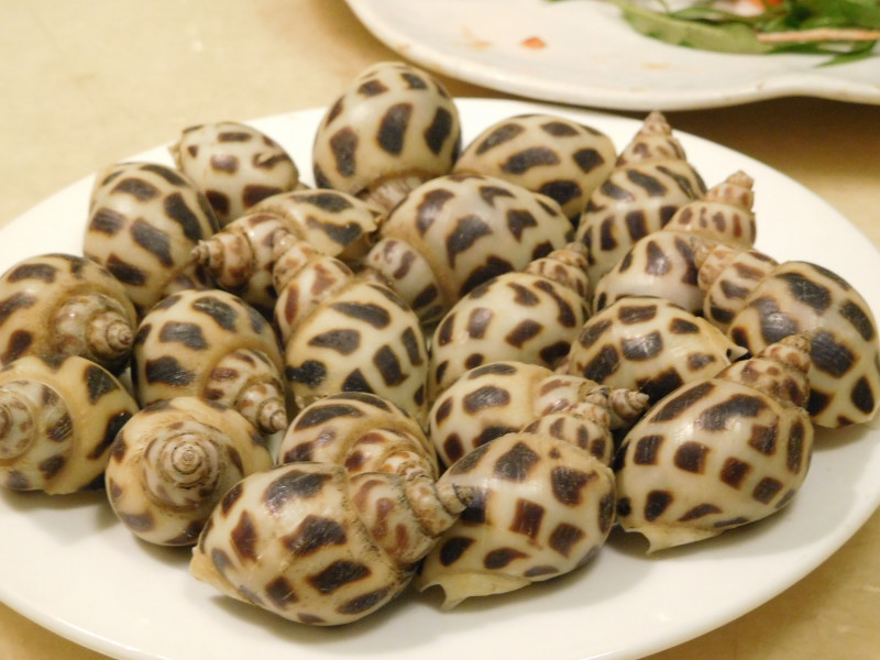 160730-2121-HCMC-Bien Viet