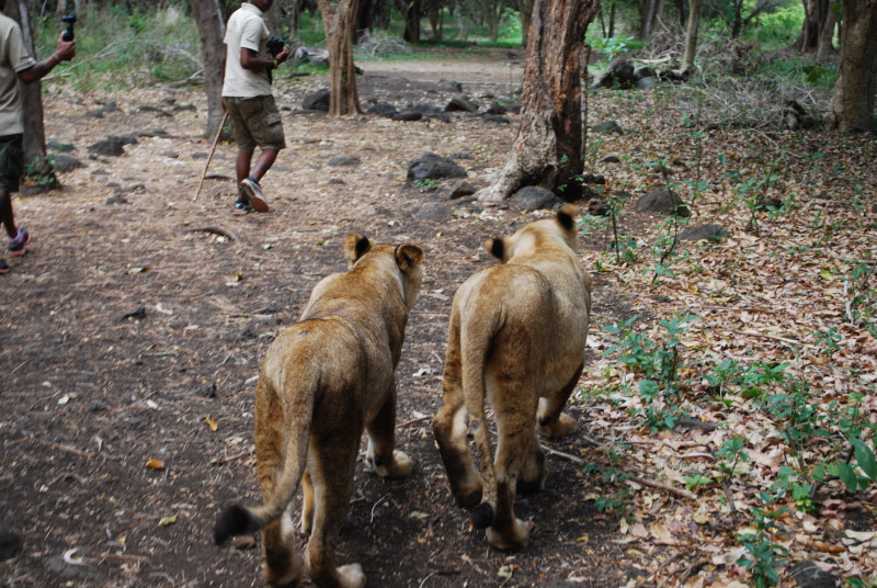 161008-0948-%e3%83%a2%e3%83%bc%e3%83%aa%e3%82%b7%e3%83%a3%e3%82%b9-casela