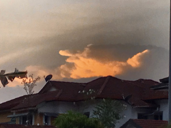 2010年4月23日、1歳半のゴン太